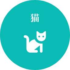 猫