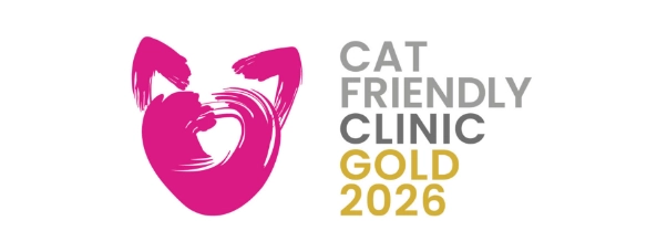 cat friendly clinic