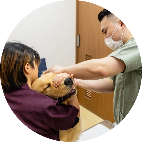 3. 健康診断
